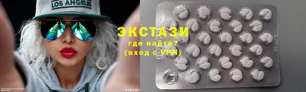 хмурый Алексин