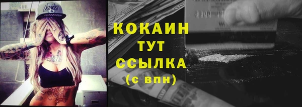 хмурый Алексин