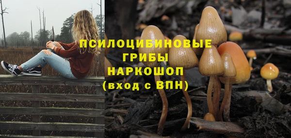 дурь Алзамай