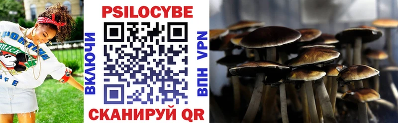 нарко площадка официальный сайт Луза Галлюциногенные грибы MAGIC MUSHROOMS